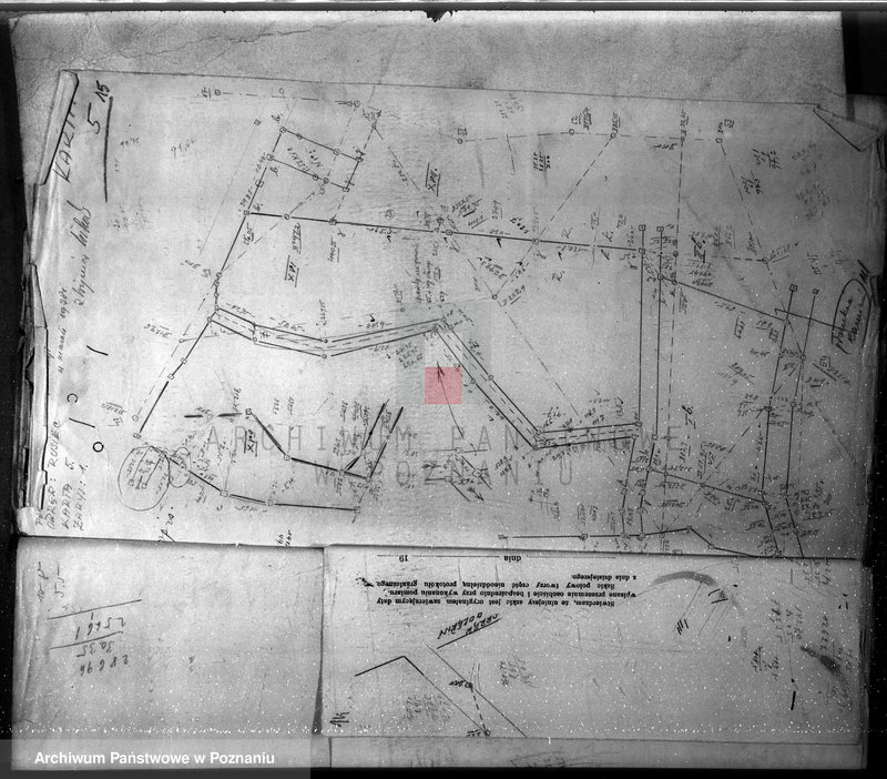 Obraz 19 z jednostki "Mapy majątku Rusiec w powiecie żnińskim"