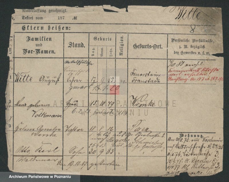 Obraz 19 z jednostki "Witczyk - Witkamp"