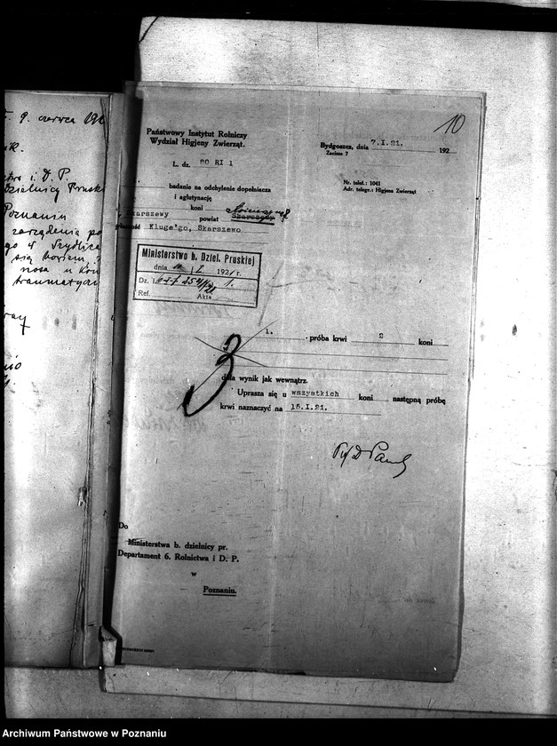 Obraz 14 z jednostki "Nosacizna - Kościerzyna"