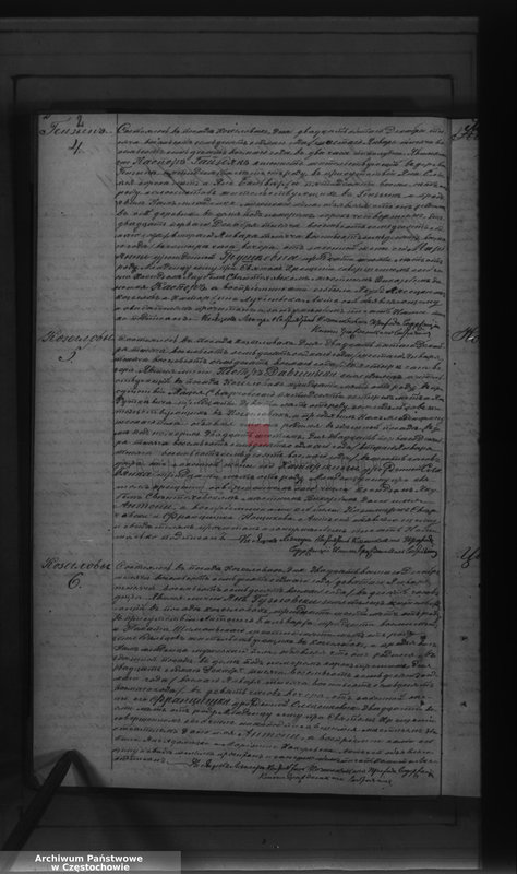 Obraz 5 z jednostki "[Duplikaty akt urodzeń, małżeństw i zgonów z 1878 roku]"