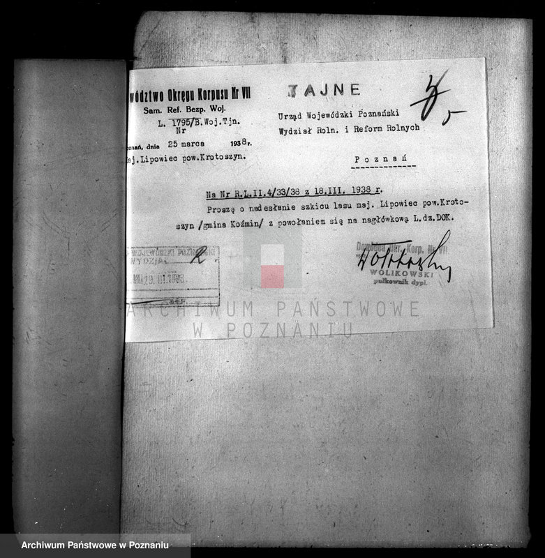 Obraz 10 z jednostki "Las majątku Lipowiec powiat krotoszyński"