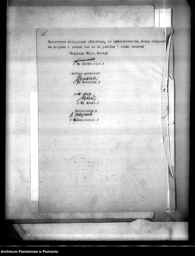 Obraz 19 z jednostki "Majątek Łobżenice powiatu wyrzyskiego wydzielenie zastrzeżonych parcel"