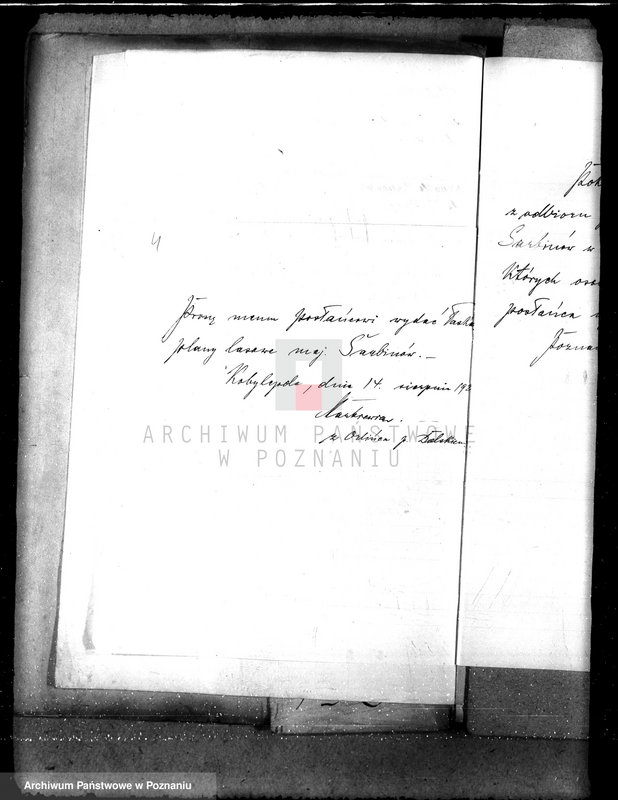 Obraz 7 z jednostki "Majętność leśna Sarbinowo w powiecie gostyńskim"