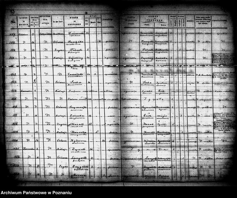 Obraz 8 z jednostki "Księga zgonów"