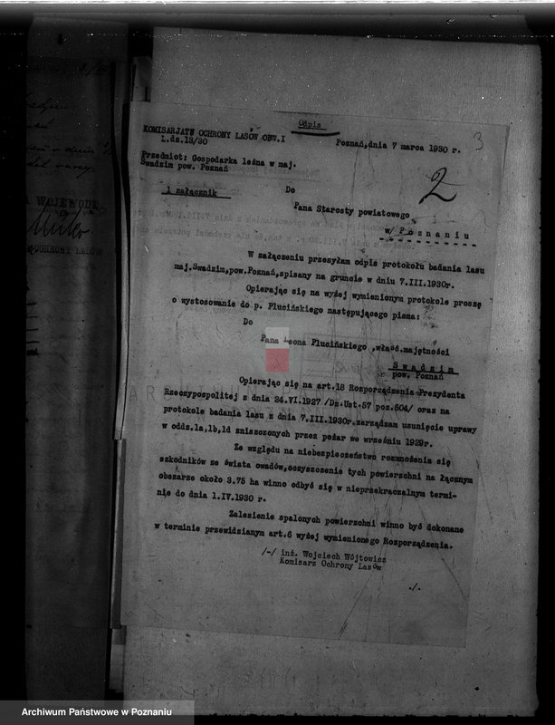 Obraz 7 z jednostki "Majętność leśna Swadzim powiat poznański"