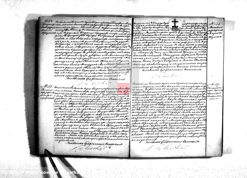 Obraz 17 z jednostki "Duplikat serejskago prichoda na 1875 god"