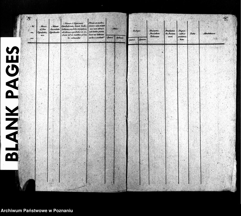 Obraz 10 z jednostki "Libri metrices baptisatorum, desponsatorum, mortuorum"