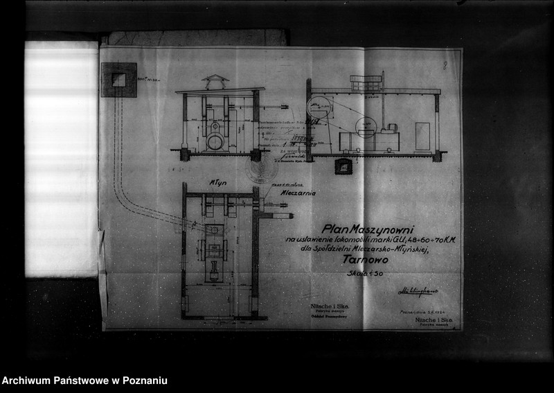 Obraz 12 z jednostki "Spółdzielnia mleczarsko-młyńska w Tarnowie powiat poznański  nr woj. 350"