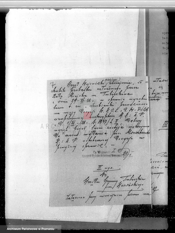 Obraz 10 z jednostki "Las miasta Tuliszkowo powiat koniński"