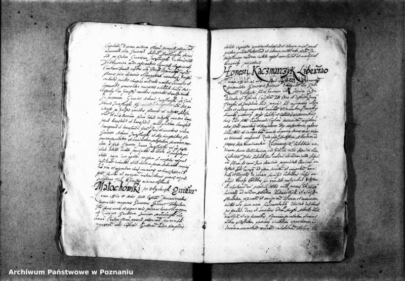 Obraz 10 z jednostki "Inscriptiones [inducta]"