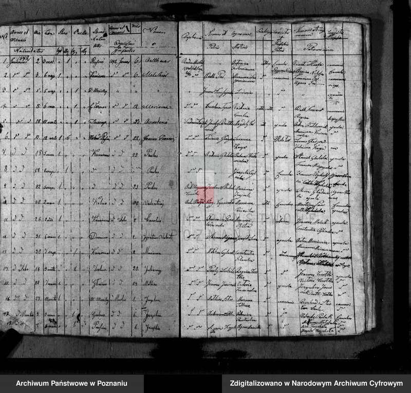 image.from.unit.number "Duplikat baptisatorum, copulatorum, mortuorum"