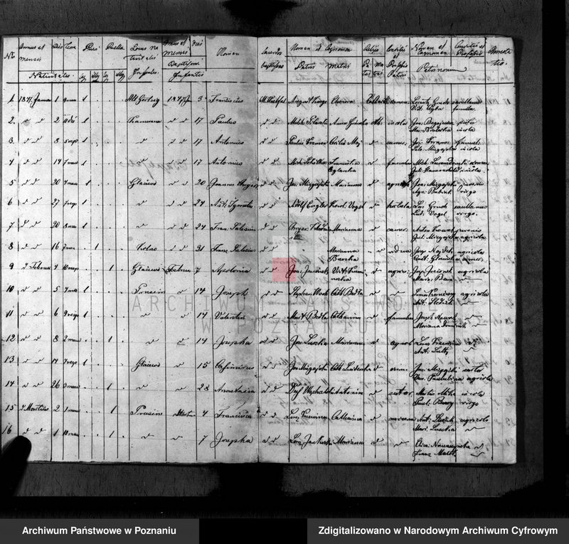 Obraz 4 z jednostki "Duplikat baptisatorum, copulatorum, mortuorum"