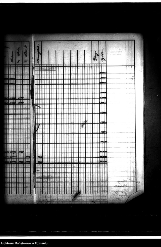 Obraz 9 z jednostki "Tymczasowy rejestr pomiarowy części majątku Chrząstowo powiatu wyrzyskiego"