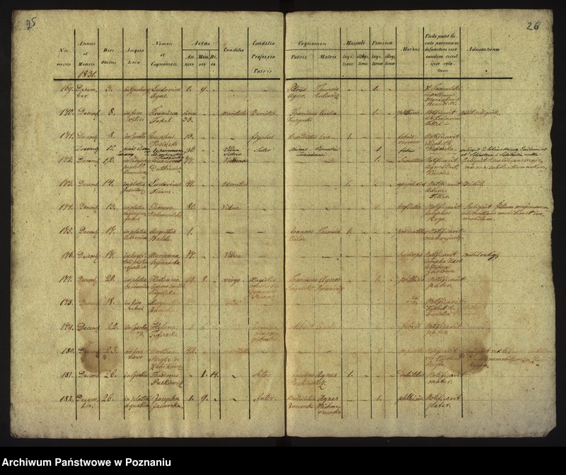 Obraz 16 z jednostki "Księga zgonów"