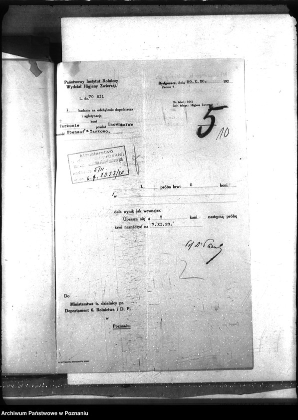 Obraz 15 z jednostki "Nosacizna - Inowrocław"