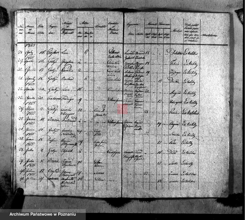 image.from.unit.number "Liber baptisatorum, copulatorum, mortuorum"