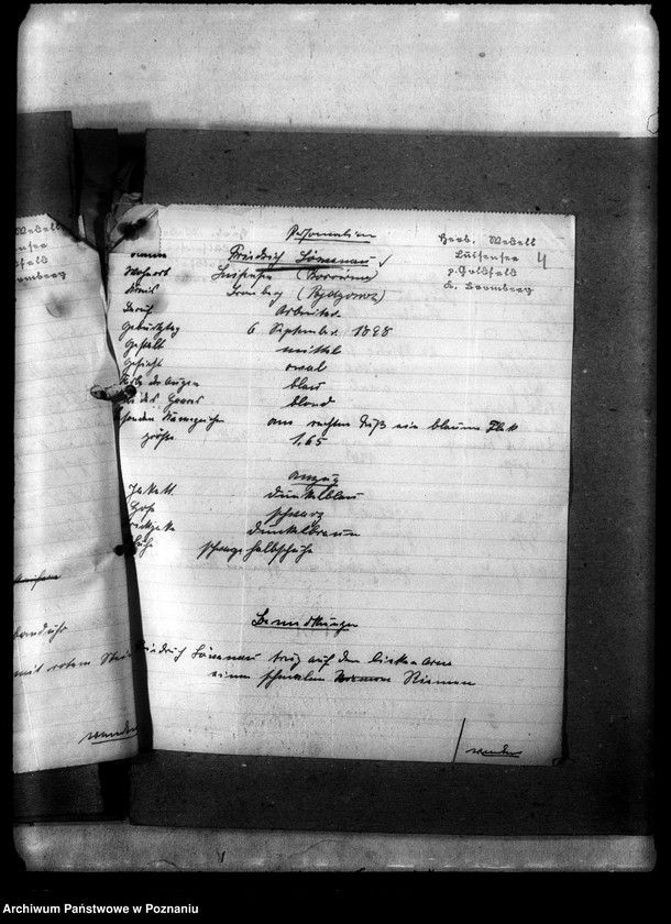 Obraz 8 z jednostki "Korespondencja w sprawie miejscowych Niemców, którzy zginęli w 1939 roku A - K"