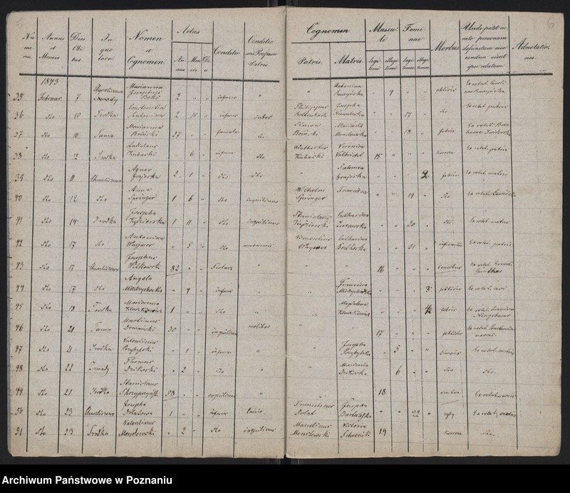 Obraz 5 z jednostki "Spis zgonów"