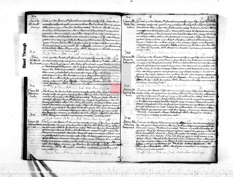 Obraz 5 z jednostki "Akta stanu cywilnego parafij Św. Jeziorskiej urodzonych, zaślubionych i umarłych z roku 1866"