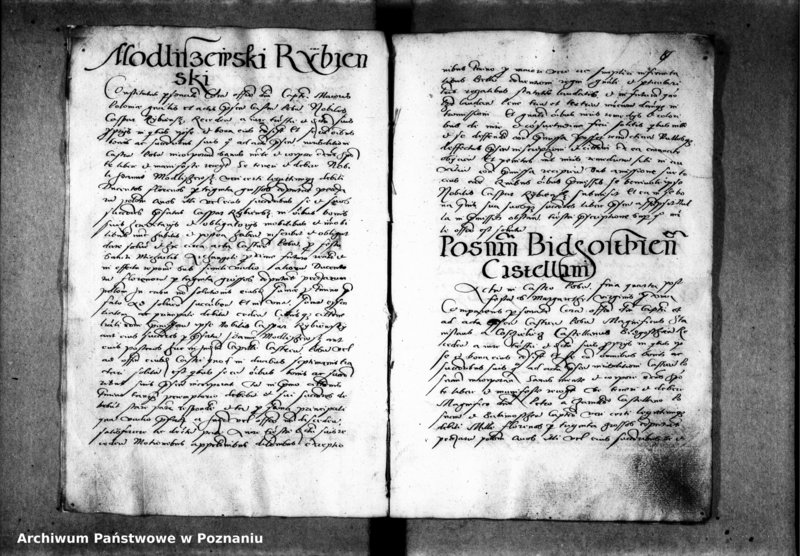 Obraz 15 z jednostki "Inscriptiones, relationes, decreta officii [inducta]"