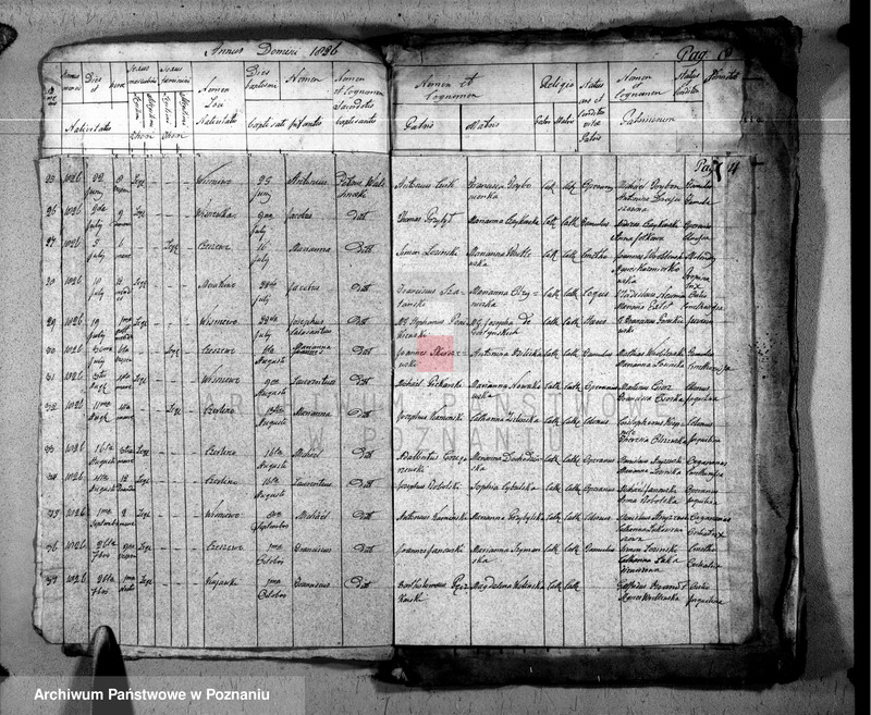 Obraz 5 z jednostki "Duplikat baptisatorum, copulatorum u. mortuorum"