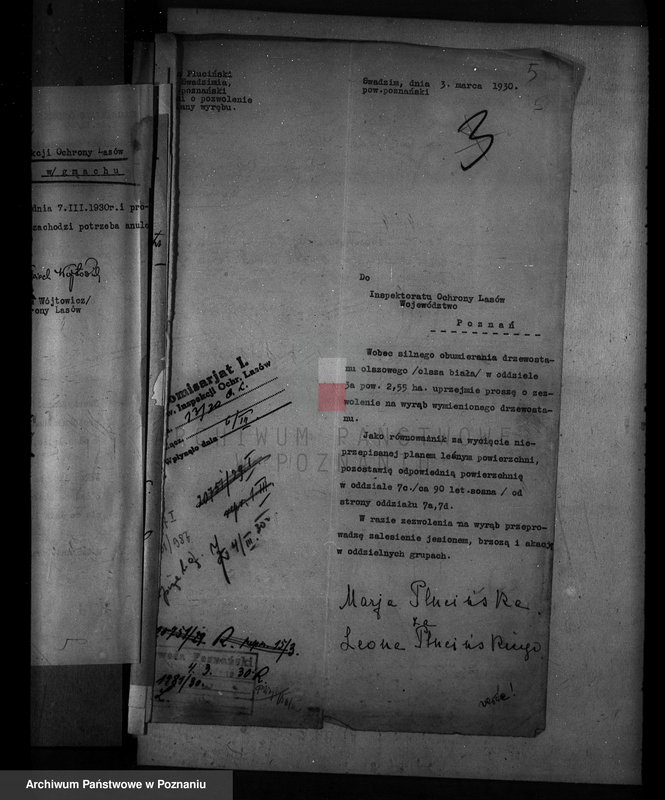 Obraz 9 z jednostki "Majętność leśna Swadzim powiat poznański"