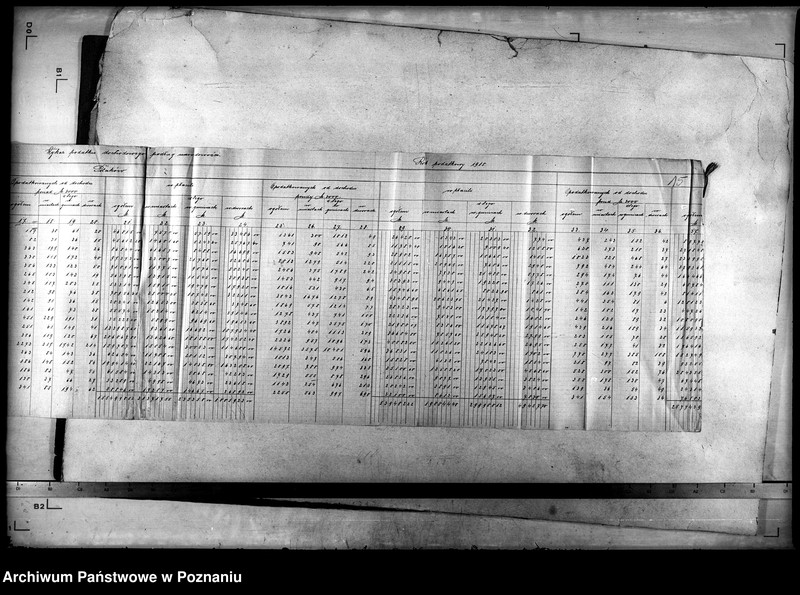 Obraz 19 z jednostki "Wykazy statystyczne, materiał i różne dane"