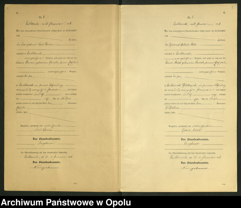 Obraz 5 z jednostki "Geburts-Register (Neben-Register) Standesamt Roschkowitz 1911 No.1 bis 49"