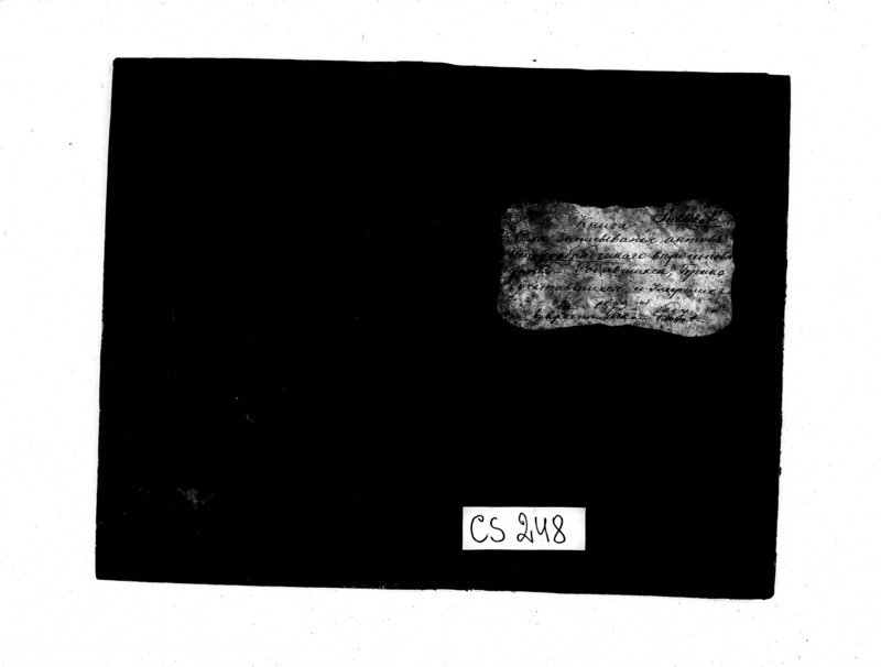 image.from.unit.number "Kniga Duplikat Dlja zapisyvanija aktov Staroobrjadčeskago věroispovědanija-Rodivšichsja, Brakosočetavšichsja i Uměršich v 1873 godu v Krasnopol
