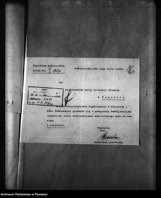 Obraz 20 z jednostki "[weterynarze narodowości niemieckiej]"