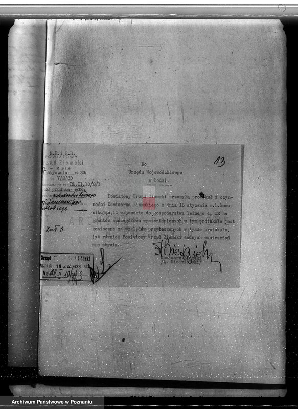 Obraz 17 z jednostki "Zatwierdzenie projektu planu gospodarstwa leśnego dla lasów majątku Janiszew powiat kolski"