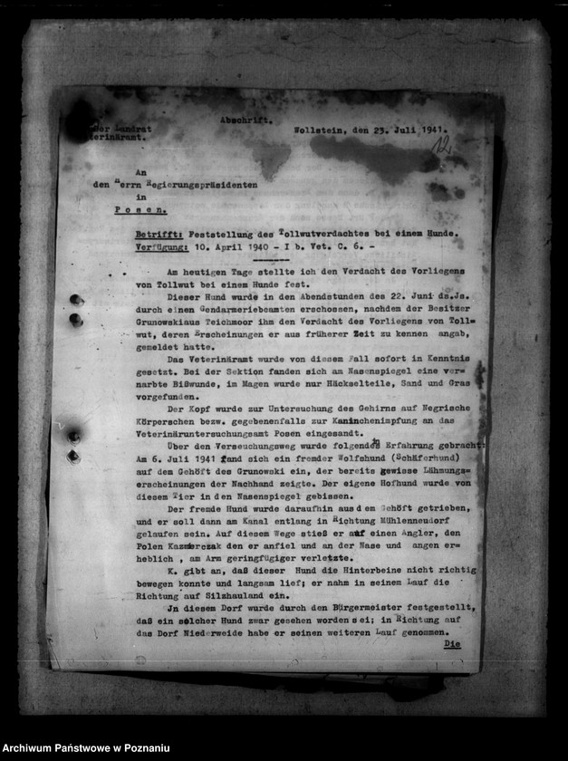 Obraz 16 z jednostki "Tollwut"