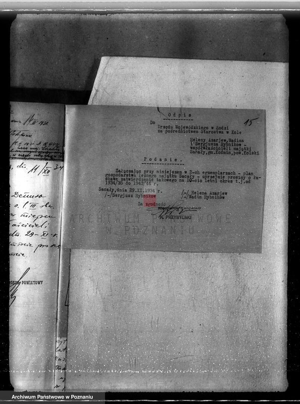 Obraz 19 z jednostki "Sprawa lasów majątku Sacały powiat kolski gmina Koźmin"