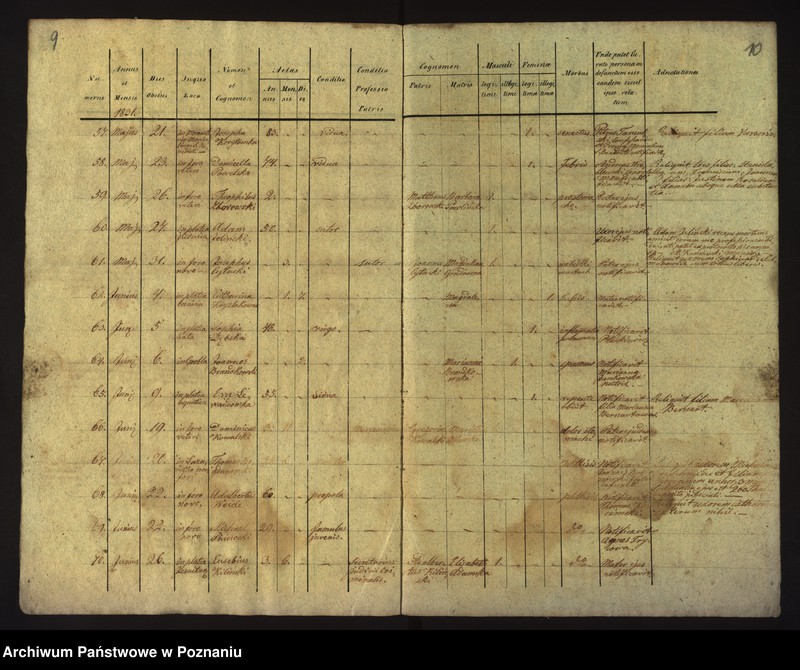 Obraz 8 z jednostki "Księga zgonów"