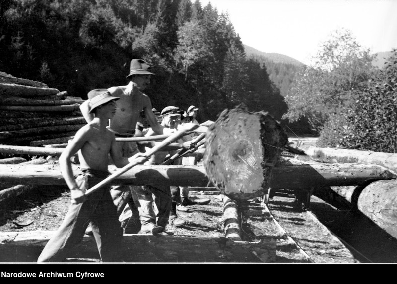 image.from.unit.number "Tartak w Skolem"