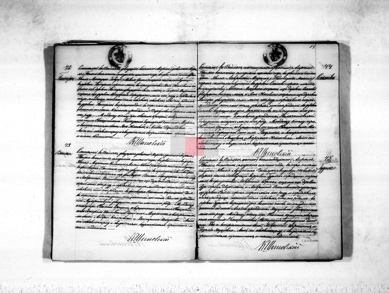 image.from.unit.number "Duplikat aktov rodivšichsja, umeršich i brakosočetavšichsja vejsejskogo rimsko-katoličeskogo prichoda na 1876 god"