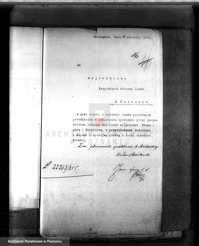 Obraz 20 z jednostki "Nadzór nad gospodarką w lasach majętności Bronisław"