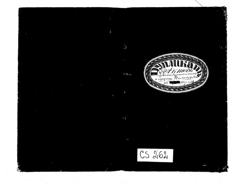 image.from.unit.number "Duplikat aktov o roždenii, brakosočetanii u smerti filiponov v sejvejskoj gmine na 1871 god"