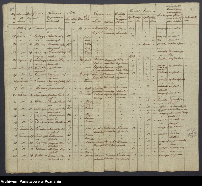 Obraz 11 z jednostki "Duplikatus Baptisatorum, Copulatorum, Mortuorum"