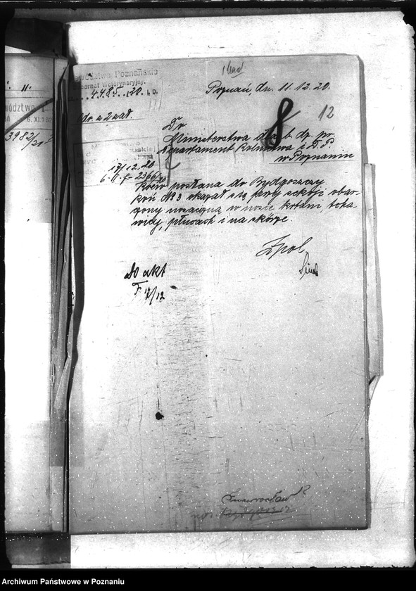 Obraz 17 z jednostki "Nosacizna - Inowrocław"