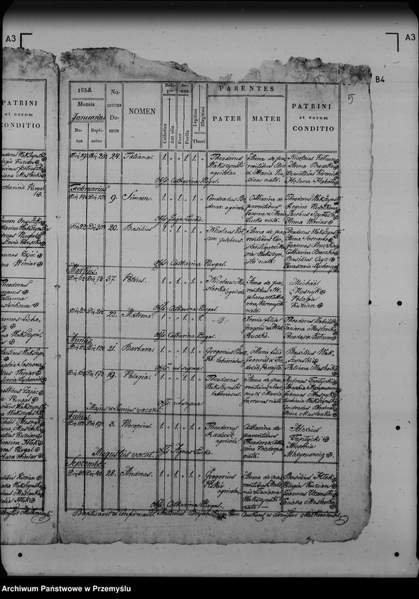 image.from.unit.number "[Kopie ksiąg metrykalnych parafii Miłków (dekanat Lubaczów)]"