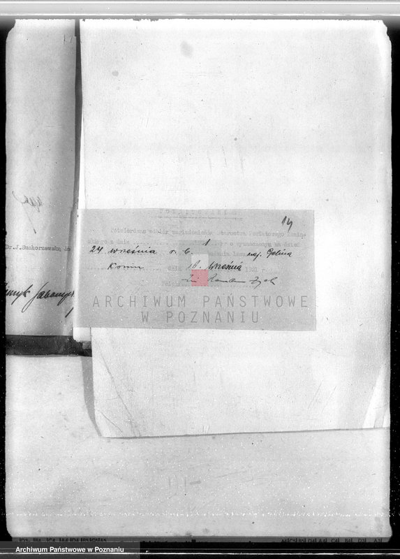 Obraz 18 z jednostki "Majątek Goliński powiat koniński /nadzór nad gospodarką leśna/"