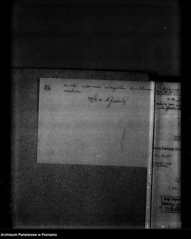 Obraz 16 z jednostki "Zalesienie nieużytków w powiecie tureckim"