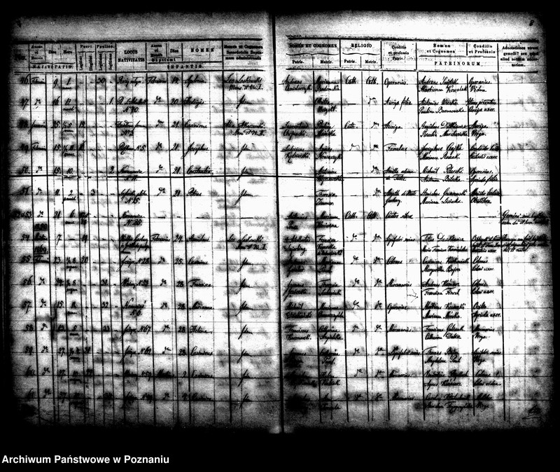 Obraz 6 z jednostki "Księga urodzin"