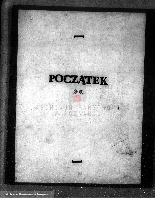Obraz 3 z jednostki "Majętność leśna Godurowo w powiecie gostyńskim"