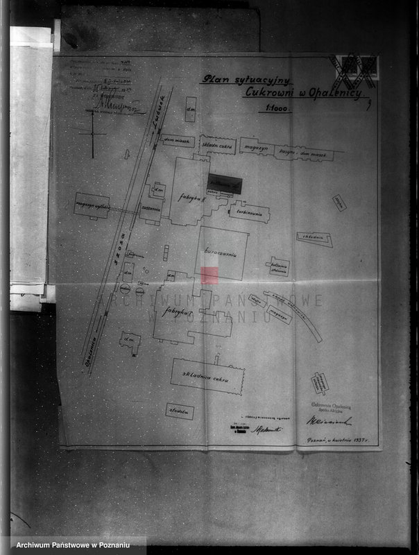 Obraz 14 z jednostki "Cukrownia Opalenica Spółka Akcyjna, nr woj. 6832"