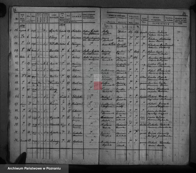 Obraz 12 z jednostki "Duplikat baptisatorum"