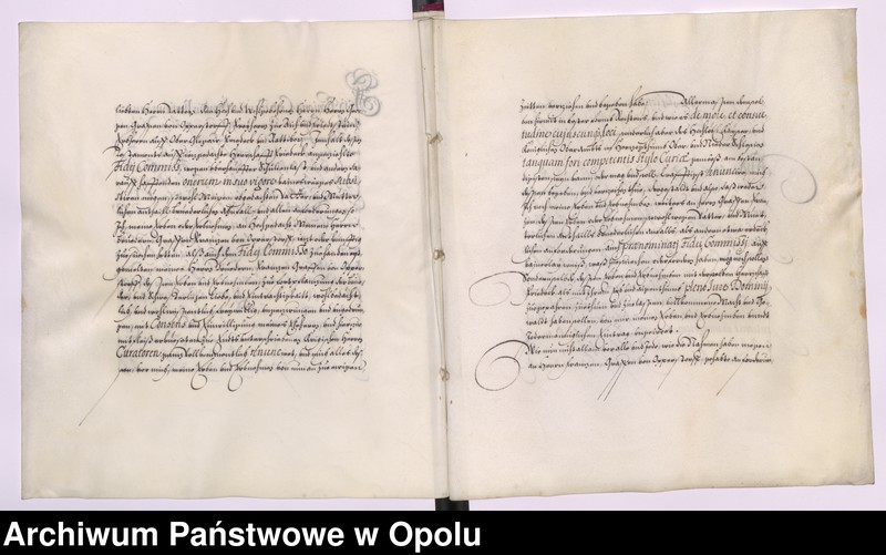 Obraz 14 z kolekcji "Testament Jerzego Oppersdorfa, właściciela Głogówka111"