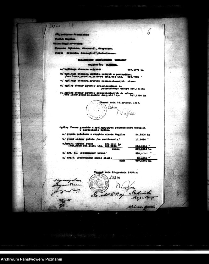 Obraz 10 z jednostki "Majątek Dąbrówka-Szczeglin powiatu mogileńskiego parcelacja"
