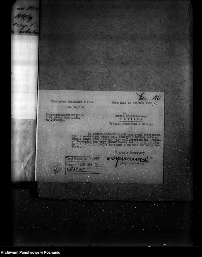 Obraz 14 z jednostki "Zatwierdzenie projektu planu gospodarczego dla lasu majątku Brudzew powiat turecki"